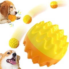 Dog Squeaky Toy,Dog Chew Toy for Small Medium Large Dogs