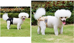 Washable Female Dog Diapers, Reusable Highly Absorbent Girl Heat Diaper