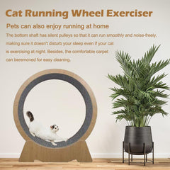 Oversized Cat Exercise Wheel - Extra Large Silent Treadmill