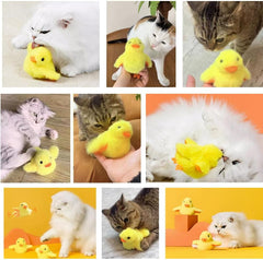 Electric Cat Toys, Interactive Cat Toys, Wing Flapping Cat Toys