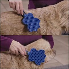 3-in-1 Silicone Pet Grooming Brush for Dogs & Cats