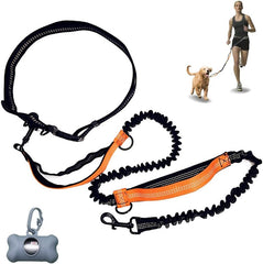 Dual Dog Leash, Dog Leash Coupler,360°Tangle Free Bungee Leash