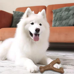 Long Lasting Durable Chewing Bone for Aggressive Chewers