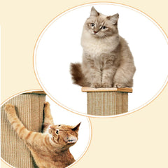 80cm Tall Cat Scratchers for Indoor Cats,Cuboid Sisal cat scratch column