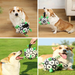 Dog Football Toy,Dog Soccer Ball with Grab Tabs, Dog Water Toy,Dog Interactive Toy Balls