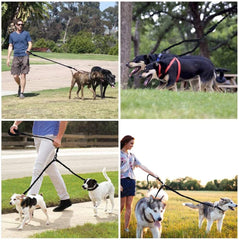 Dual Dog Leash, Dog Leash Coupler,360°Tangle Free Bungee Leash
