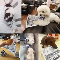 3-Pack Squeaky Newspaper Dog Toys