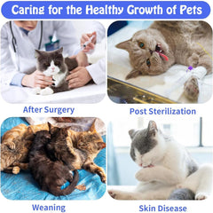 Cat Recovery Suit for Cats, After Surgery, Wound Protection, Blue Stripe S