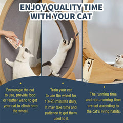 Oversized Cat Exercise Wheel - Extra Large Silent Treadmill