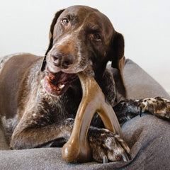 Long Lasting Durable Chewing Bone for Aggressive Chewers