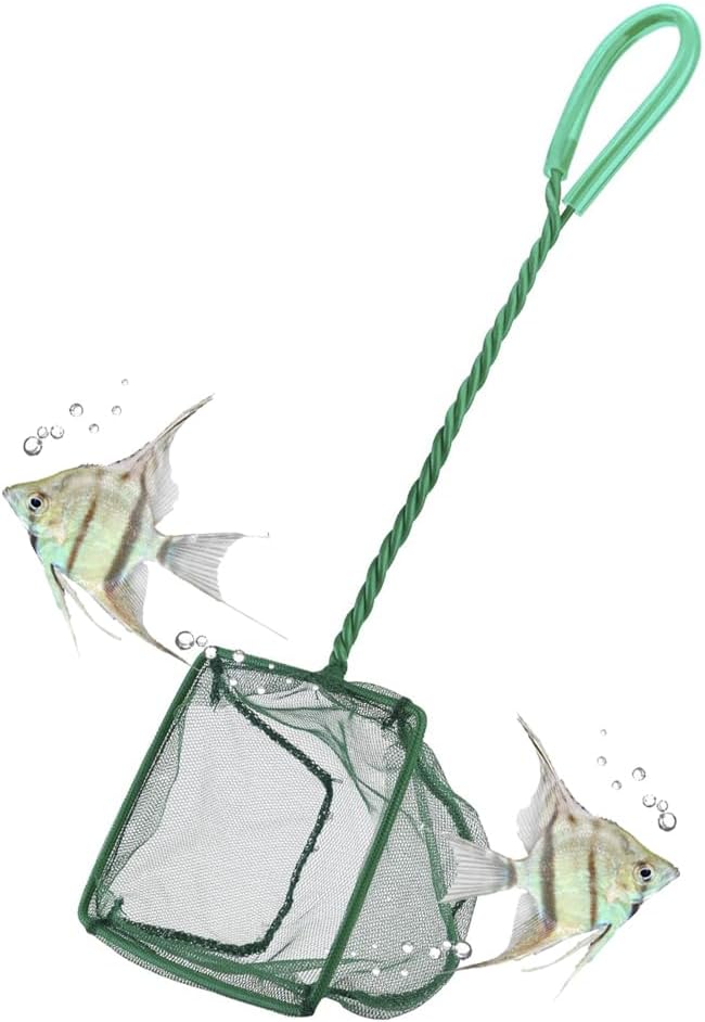 Fish & Aquarium