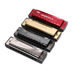 10 Hole Harmonica Mouth Organ Puzzle Musical Instrument