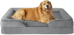 Orthopedic Dog Beds for Large Dogs