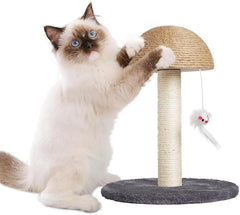 Cat Scratching Post For Kittens