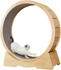 Oversized Cat Exercise Wheel - Extra Large Silent Treadmill