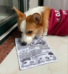 3-Pack Squeaky Newspaper Dog Toys