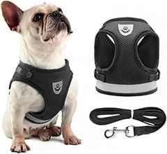No Pull Adjustable Reflective Step-in Puppy Harness with Padded Vestfor