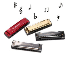 10 Hole Harmonica Mouth Organ Puzzle Musical Instrument