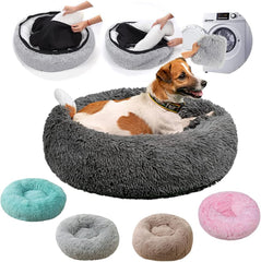 Cat Beds for Indoor Cats