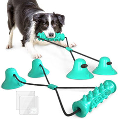 Dog Suction Cup Chew Toy with Rope, Blue