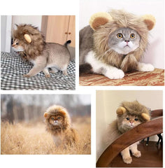 Cute Cat Hat,Adjustable Headwear for Small Kitten Puppy