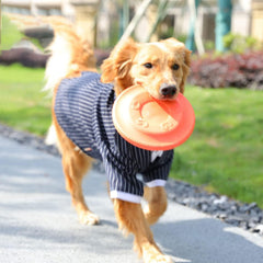 Dog Frisbee,Dog Toy Soft Flying Disc Dual purpose,Sport Outdoor Interactive Dog Toys