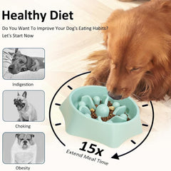 Slow Feeder Dog Bowls, Puppy Bowl