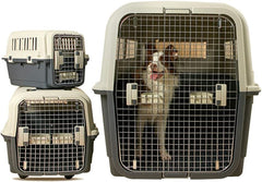 Hard-Sided Transporter Dog Carrier Cage,Plastic Kennels Rolling Wire Door Travel Dog Crate