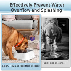 No-Spill Dog Bowl, 1.3L Slow Water Feeder, Suitable for Indoor and Outdoor Use (Green)