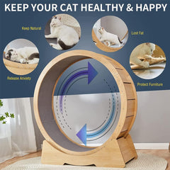 Oversized Cat Exercise Wheel - Extra Large Silent Treadmill
