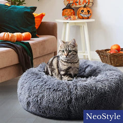 Cat Beds for Indoor Cats