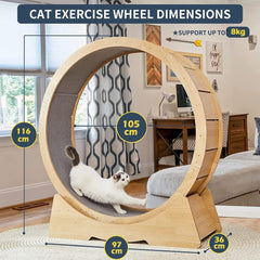 Oversized Cat Exercise Wheel - Extra Large Silent Treadmill