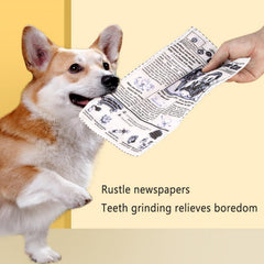 3-Pack Squeaky Newspaper Dog Toys