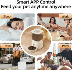 Automatic Cat Feeder with Cat Water Fountain | Smart WiFi Control, Voice Recorder & Customizable Portion Control | 2-in-1 Combo Set for Cats | Pet Supplies with Stainless Steel Bowl