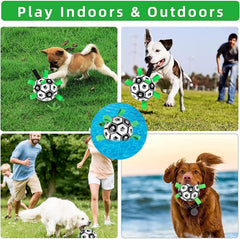 Dog Football Toy,Dog Soccer Ball with Grab Tabs, Dog Water Toy,Dog Interactive Toy Balls