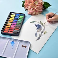 Watercolor Paint Set (36 colors, bread, 1 aquatic brush, 1 brush and mixing palette in an iron box)