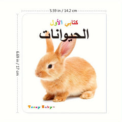 Set Of 10 Arabic Language Books, My First Series Identification Books - Nimall